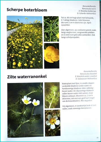 &copy;  Thijs de Boer